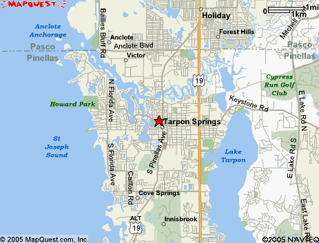 Map of the area our 34689 locksmiths service