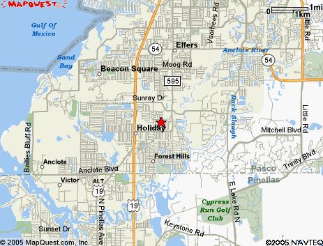 Map of the area our 34690 locksmiths service